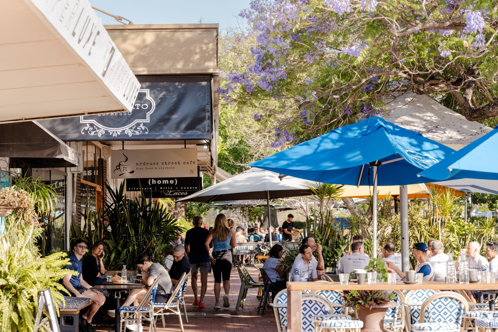 Aurora Applecross Roam DZuks December 2025 450