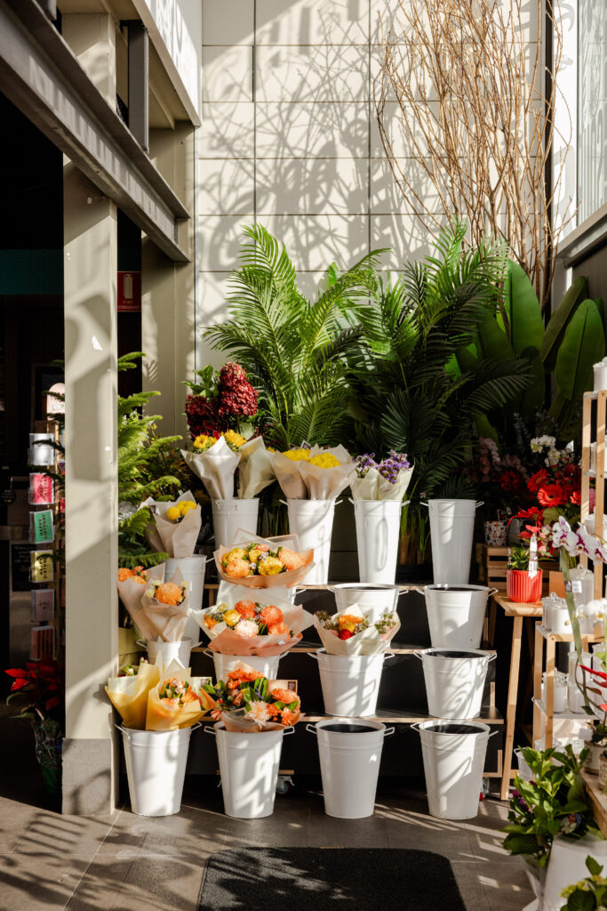 Aurora Applecross Roam DZuks December 2025 554