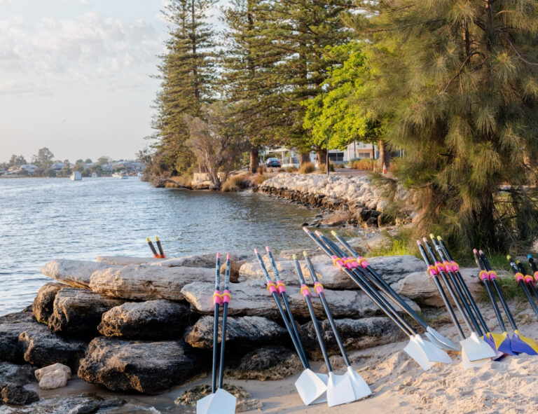 Untitled design 2026 03 03T154804.784